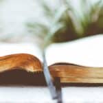open book on white surface